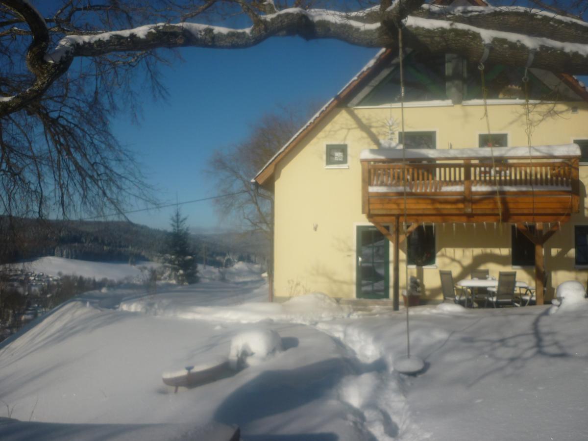 Ferienwohnung Laempelberg Klingenthal Luaran gambar